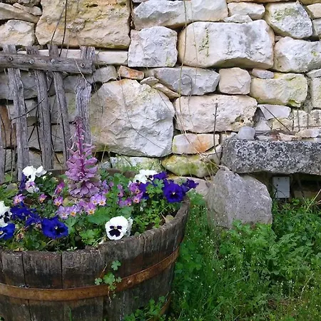 Rural Holiday With Shared Pool Žminj