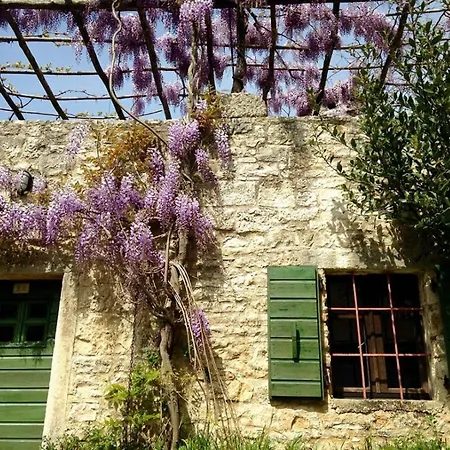 Rural Holiday With Shared Pool