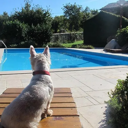 Casa vacanze Rural Holiday With Shared Pool